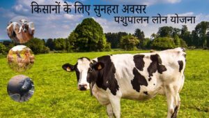 किसान पशुपालन लोन योजना